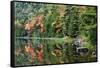 Maine, Acadia National Park, Fall Reflections at Bubble Pond-Joanne Wells-Framed Stretched Canvas