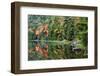 Maine, Acadia National Park, Fall Reflections at Bubble Pond-Joanne Wells-Framed Photographic Print