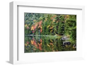 Maine, Acadia National Park, Fall Reflections at Bubble Pond-Joanne Wells-Framed Photographic Print