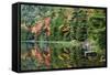 Maine, Acadia National Park, Fall Reflections at Bubble Pond-Joanne Wells-Framed Stretched Canvas