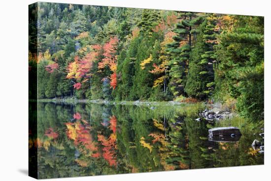 Maine, Acadia National Park, Fall Reflections at Bubble Pond-Joanne Wells-Stretched Canvas