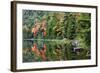 Maine, Acadia National Park, Fall Reflections at Bubble Pond-Joanne Wells-Framed Photographic Print