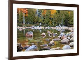 Maine, Acadia National Park, Fall Reflections at Jordon Pond-Joanne Wells-Framed Photographic Print