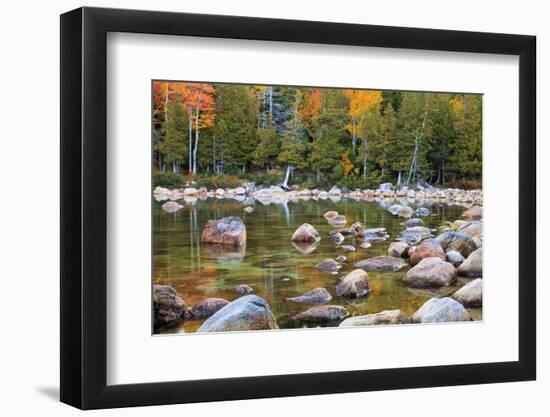 Maine, Acadia National Park, Fall Reflections at Jordon Pond-Joanne Wells-Framed Photographic Print