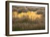 Maine, Acadia National Park, Fall Reflections in the Marsh-Joanne Wells-Framed Photographic Print