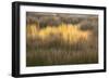 Maine, Acadia National Park, Fall Reflections in the Marsh-Joanne Wells-Framed Photographic Print