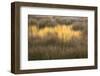 Maine, Acadia National Park, Fall Reflections in the Marsh-Joanne Wells-Framed Photographic Print