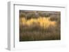 Maine, Acadia National Park, Fall Reflections in the Marsh-Joanne Wells-Framed Photographic Print