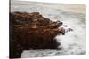 Maine, Acadia NP, Ocean Waves Breaking on Rocks Along Ocean Drive-Joanne Wells-Stretched Canvas