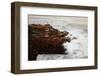 Maine, Acadia NP, Ocean Waves Breaking on Rocks Along Ocean Drive-Joanne Wells-Framed Photographic Print