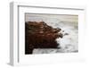 Maine, Acadia NP, Ocean Waves Breaking on Rocks Along Ocean Drive-Joanne Wells-Framed Photographic Print