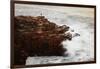Maine, Acadia NP, Ocean Waves Breaking on Rocks Along Ocean Drive-Joanne Wells-Framed Photographic Print