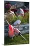 Maine, Bailey Island, Lobster Buoys-Walter Bibikow-Mounted Photographic Print