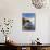 Maine, Baxter State Park, Lake Millinocket, USA-Alan Copson-Mounted Photographic Print displayed on a wall