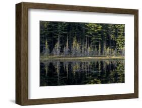 Maine, Baxter State Park, Reflections on Abol Pond-Judith Zimmerman-Framed Photographic Print