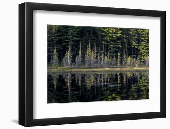 Maine, Baxter State Park, Reflections on Abol Pond-Judith Zimmerman-Framed Photographic Print