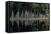 Maine, Baxter State Park, Reflections on Abol Pond-Judith Zimmerman-Framed Stretched Canvas