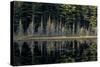 Maine, Baxter State Park, Reflections on Abol Pond-Judith Zimmerman-Stretched Canvas