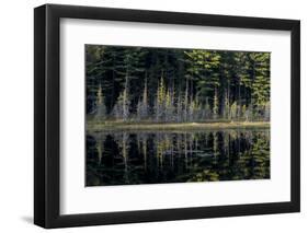 Maine, Baxter State Park, Reflections on Abol Pond-Judith Zimmerman-Framed Premium Photographic Print