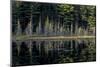 Maine, Baxter State Park, Reflections on Abol Pond-Judith Zimmerman-Mounted Premium Photographic Print