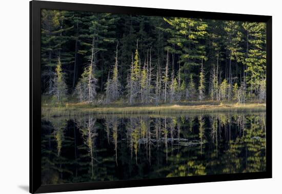 Maine, Baxter State Park, Reflections on Abol Pond-Judith Zimmerman-Framed Photographic Print