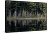 Maine, Baxter State Park, Reflections on Abol Pond-Judith Zimmerman-Framed Stretched Canvas