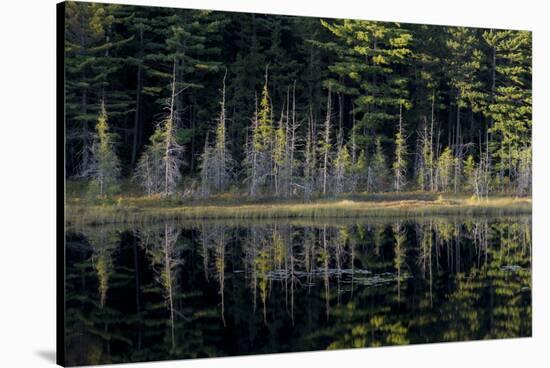 Maine, Baxter State Park, Reflections on Abol Pond-Judith Zimmerman-Stretched Canvas