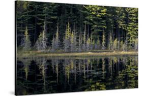 Maine, Baxter State Park, Reflections on Abol Pond-Judith Zimmerman-Stretched Canvas