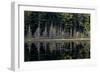 Maine, Baxter State Park, Reflections on Abol Pond-Judith Zimmerman-Framed Photographic Print