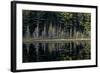 Maine, Baxter State Park, Reflections on Abol Pond-Judith Zimmerman-Framed Photographic Print