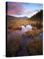 Maine, Baxter State Park, USA-Alan Copson-Stretched Canvas