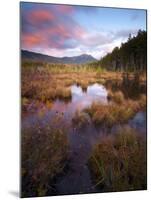 Maine, Baxter State Park, USA-Alan Copson-Mounted Photographic Print