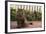 Maine Coon Cat on Sidewalk-DLILLC-Framed Photographic Print