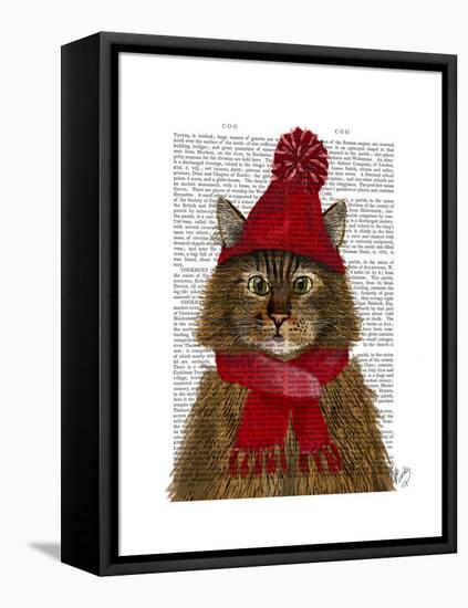 Maine Coon Cat-Fab Funky-Framed Stretched Canvas