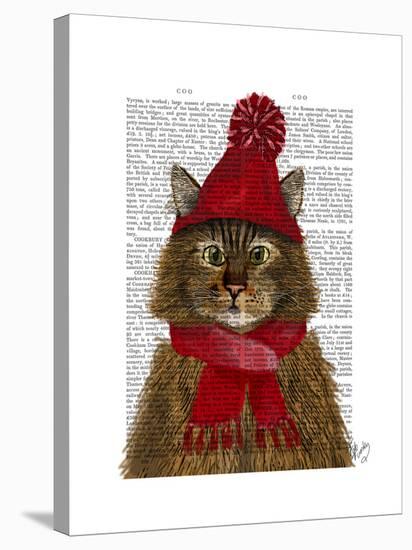 Maine Coon Cat-Fab Funky-Stretched Canvas