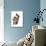 Maine Coon Cat-Fabio Petroni-Photographic Print displayed on a wall