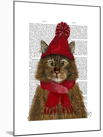 Maine Coon Cat-Fab Funky-Mounted Art Print