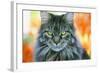 Maine Coon Cat-null-Framed Photographic Print