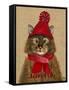 Maine Coon Cat-Fab Funky-Framed Stretched Canvas