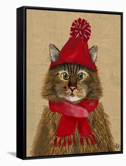 Maine Coon Cat-Fab Funky-Framed Stretched Canvas