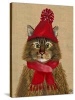 Maine Coon Cat-Fab Funky-Stretched Canvas