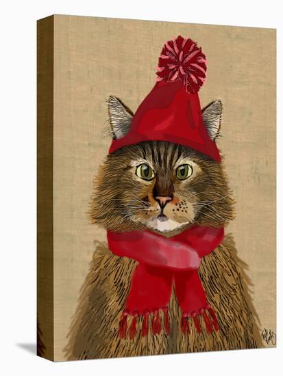 Maine Coon Cat-Fab Funky-Stretched Canvas