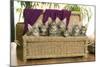 Maine Coon Group of Seven Kittens in Basket-null-Mounted Photographic Print