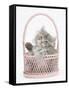 Maine Coon Kitten, 7 Weeks, Playing in a Basket-Mark Taylor-Framed Stretched Canvas