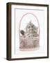 Maine Coon Kitten, 7 Weeks, Playing in a Basket-Mark Taylor-Framed Photographic Print