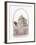 Maine Coon Kitten, 7 Weeks, Playing in a Basket-Mark Taylor-Framed Photographic Print