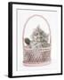 Maine Coon Kitten, 7 Weeks, Playing in a Basket-Mark Taylor-Framed Photographic Print