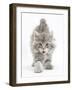 Maine Coon Kitten, 7 Weeks, Stretching-Mark Taylor-Framed Photographic Print