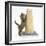 Maine Coon Kitten, 7 Weeks, Using a Scratch Post-Mark Taylor-Framed Photographic Print