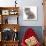 Maine Coon Kitten, 7 Weeks-Mark Taylor-Photographic Print displayed on a wall